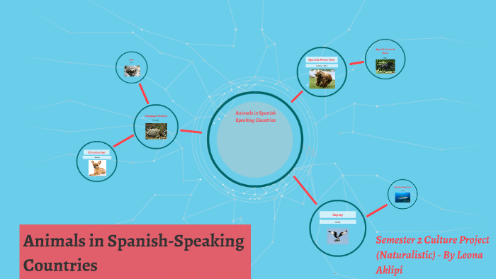 Animals in Spanish-Speaking Countries by Leona Aklipi