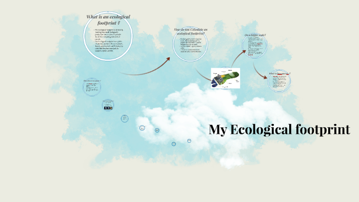 My Ecological footprint by Madison Shaffer on Prezi