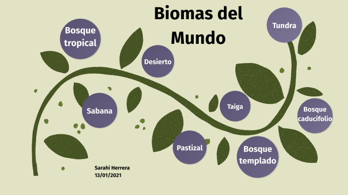 Biomas del mundo by Sary Herrera on Prezi