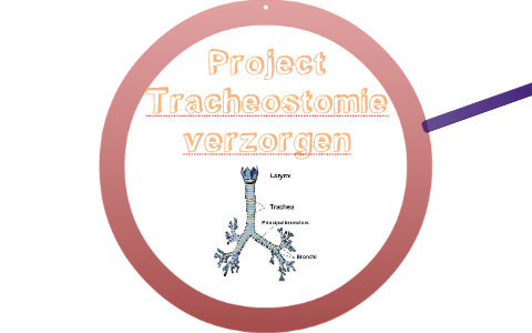 Project Tracheastomie verzorgen by Tida Peterson on Prezi