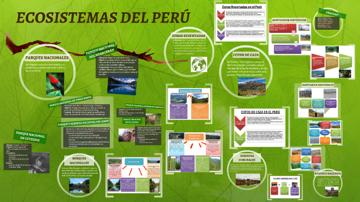 ECOSISTEMAS DEL PERÚ by Emely Bravo Pereda on Prezi