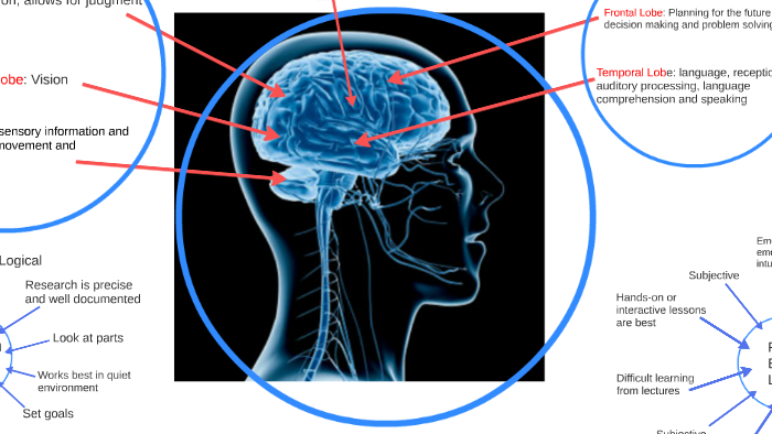 Brain Based Learning by Cynthia Smith on Prezi