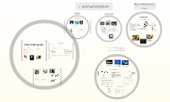 Sammi&Deron's Science Project by sammi wierman on Prezi