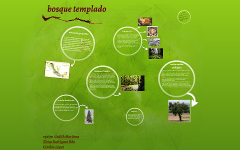 bosque templado by Judith Guadalupe Martinez Torres on Prezi Next