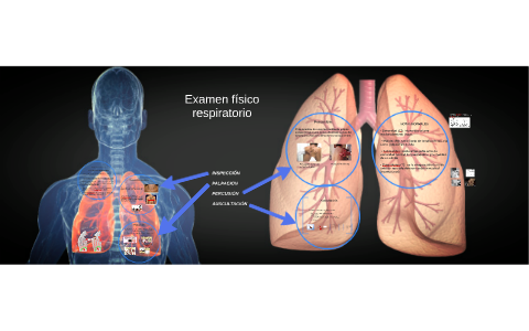 Examen físico respiratorio by Diego Juri