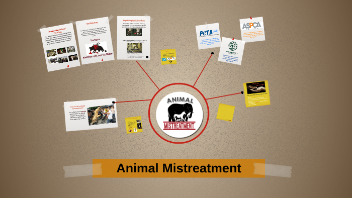 animal mistreatment essay