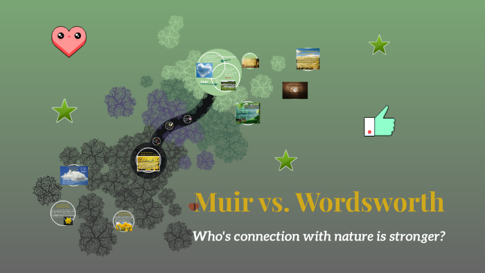 metaphors in calypso borealis the words wordsworth uses in his poem reveal that nature