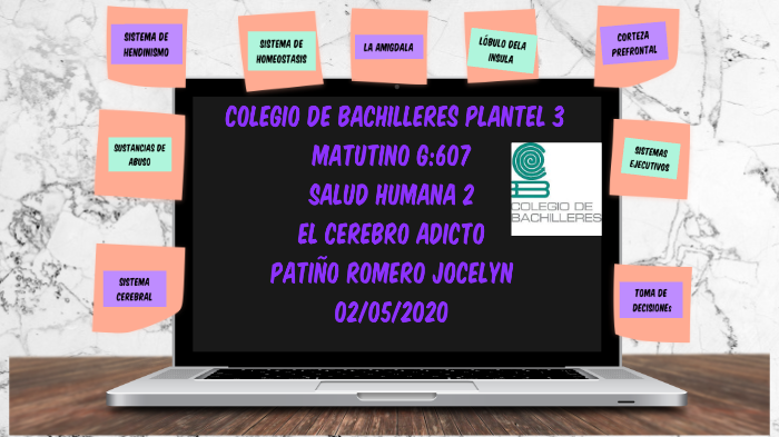 El Cerebro Adicto By Jocelyn Patiño Romero On Prezi El Cerebro Adicto By Jocelyn Patiño Romero On Prezi