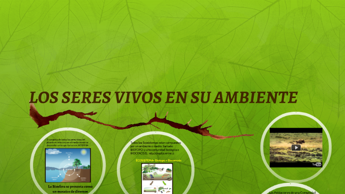 LOS SERES VIVOS EN SU AMBIENTE by Lorena Siciliano on Prezi