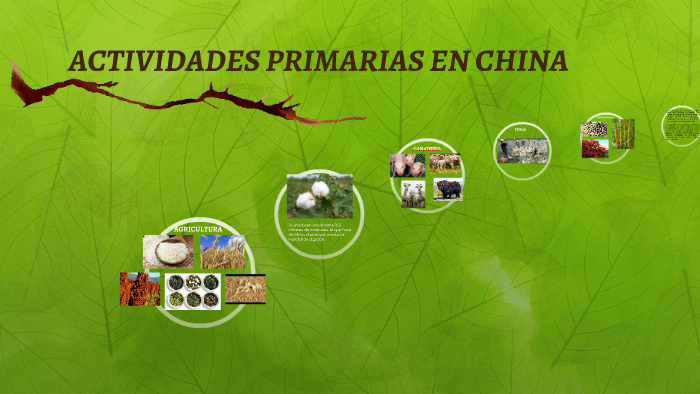 ACTIVIDADES PRIMARIAS EN CHINA by on Prezi