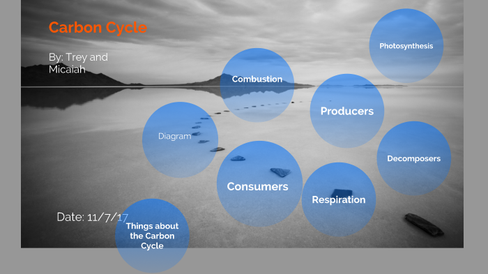 The Carbon Cycle by Trey Barnett on Prezi
