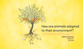 How Are Animals Adapted To Their Environment By Mahra Alshamsi