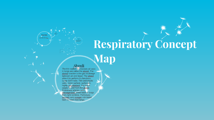 Respiratory Concept Map by Eric Lalonde on Prezi