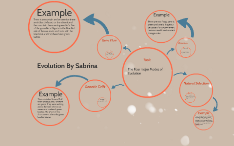The four major modes of evolution by Sabrina Roman on Prezi