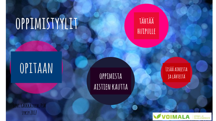 Oppimistyylit by Suvi Kärkkäinen