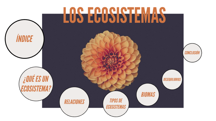 los ecosistemas by elisabeth moreno perez on Prezi