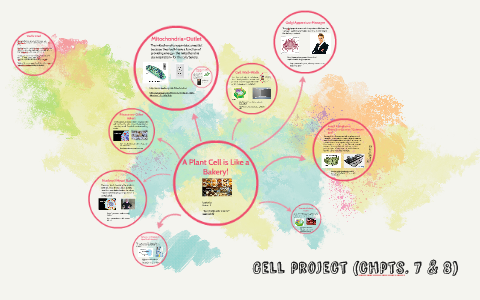 A Cell is Like a Bakery! by L L on Prezi
