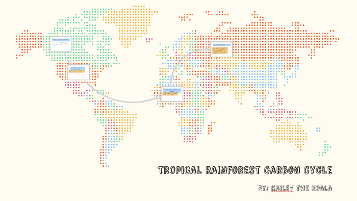 Tropical Rainforest Carbon Cycle by Kailey the Koala on Prezi
