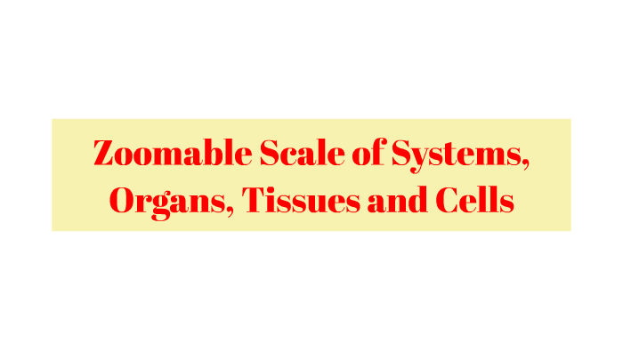 Aryan Zoomable Scale of Systems, Organs, Tissues and Cells by Aryan ...