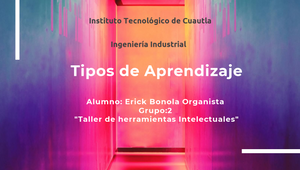 tipos de aprendizaje by ERICK BONOLA ORGANISTA on Prezi Design