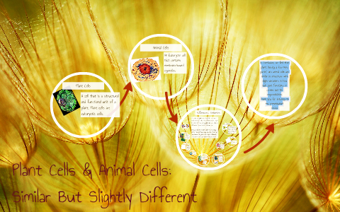 Plant Cells & Animal Cells: by Dianne Valentin on Prezi