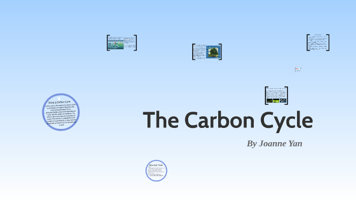 The Carbon Cycle by Joanne Yan on Prezi