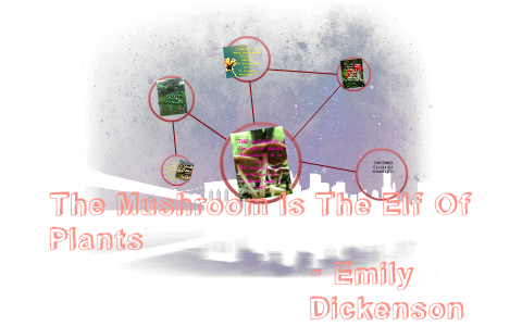 The Mushroom Is The Elf Of Plants by Hannah Leann on Prezi