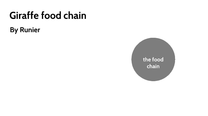 giraffe food chain by Runier Trujillo on Prezi Biology Diagrams