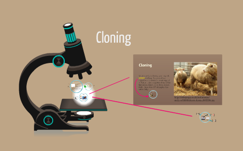 cloning pros and cons essay