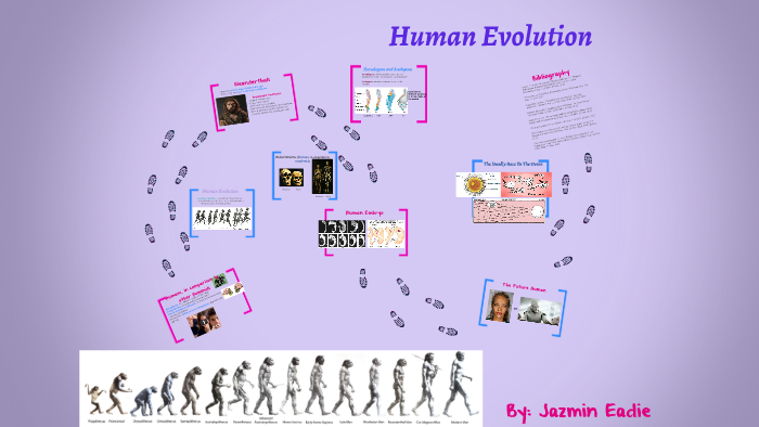 Human Evolution by Jazmin Eadie on Prezi