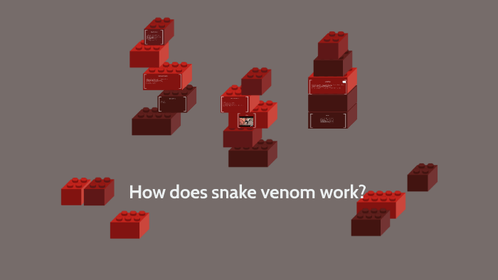 how-does-snake-venom-work-by-bri-olivo