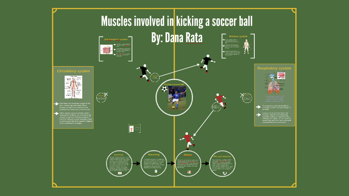 The Muscles and Body Parts Needed to Kick a Football