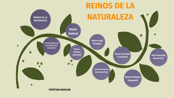 Reinos de la Naturaleza by CRISTIAN AGUILAR on Prezi