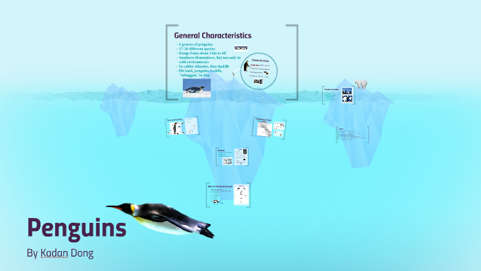 Презентация про пингвинов