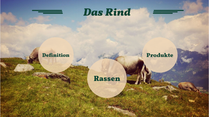 Rauf Rind Das Rind by Clemens Schaefer on Prezi