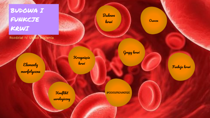 BIOLOGIA: Budowa I Funkcje Krwi By Dominik Pruss On Prezi