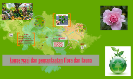 Konservasi Flora Dan Fauna Di Dunia - Perhitungan Soal