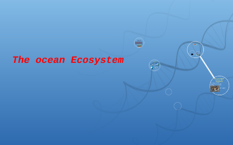 The ocean Ecosystem by Adrik collado