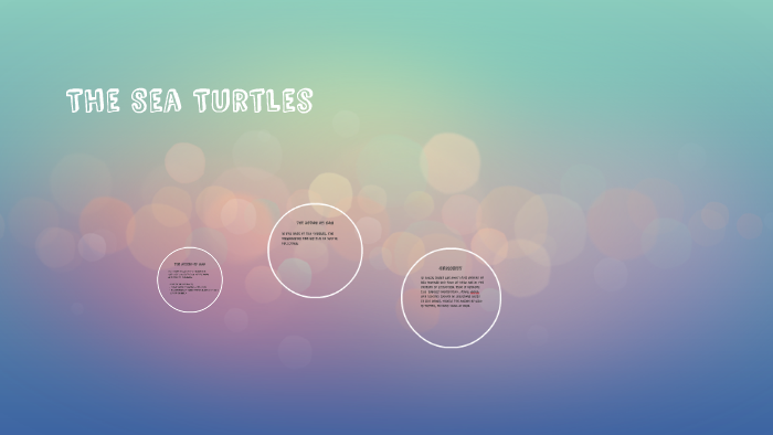 The Sea Turtles by Inês Rodrigues on Prezi
