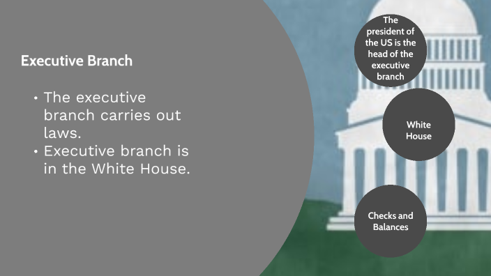 3 Levels of Government in the US by Crystal Chavez on Prezi