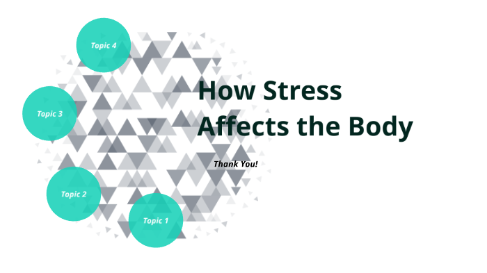 How Stress Affects the Body by Hailey Lehmann on Prezi