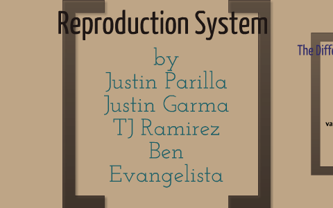 Reproduction System by justin parilla on Prezi