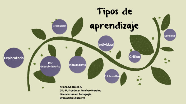 Tipos de Aprendizaje by Ariana Gonzalez on Prezi