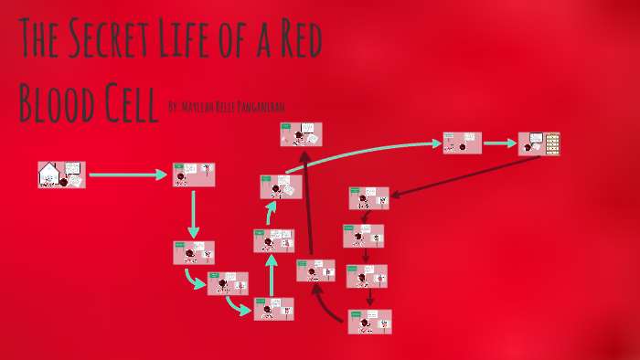 The Secret Life of a Red Blood Cell by Mayleah Panganiban on Prezi