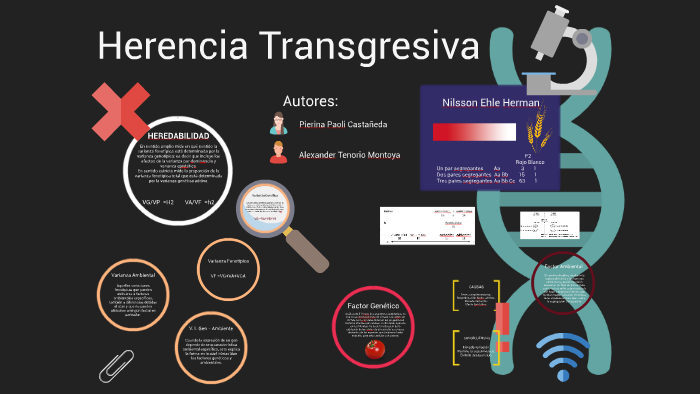 Herencia Transgresiva by Alexander Tenorio on Prezi