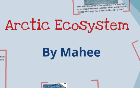 Arctic Ecosystem by Mahee Hossain on Prezi