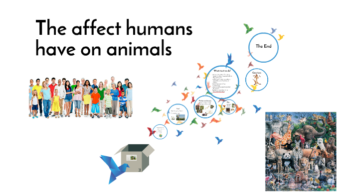 importance-of-animals-13-uses-for-human-life