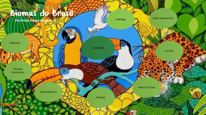 Biomas do Brasil by Soraia Victorio on Prezi