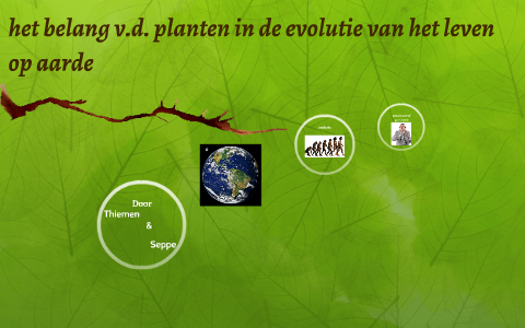 het belang van de planten in de evolutie van het leven op aa by seppe ...