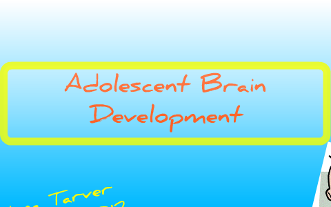 Adolescent Brain Development by Kaylee Michelle on Prezi